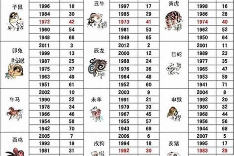 生肖 1989|1989年属什么生肖